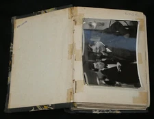 48 PHOTOS dont SIGNÉES Reggiani, Fernandel, chanteurs, acteurs, années 50