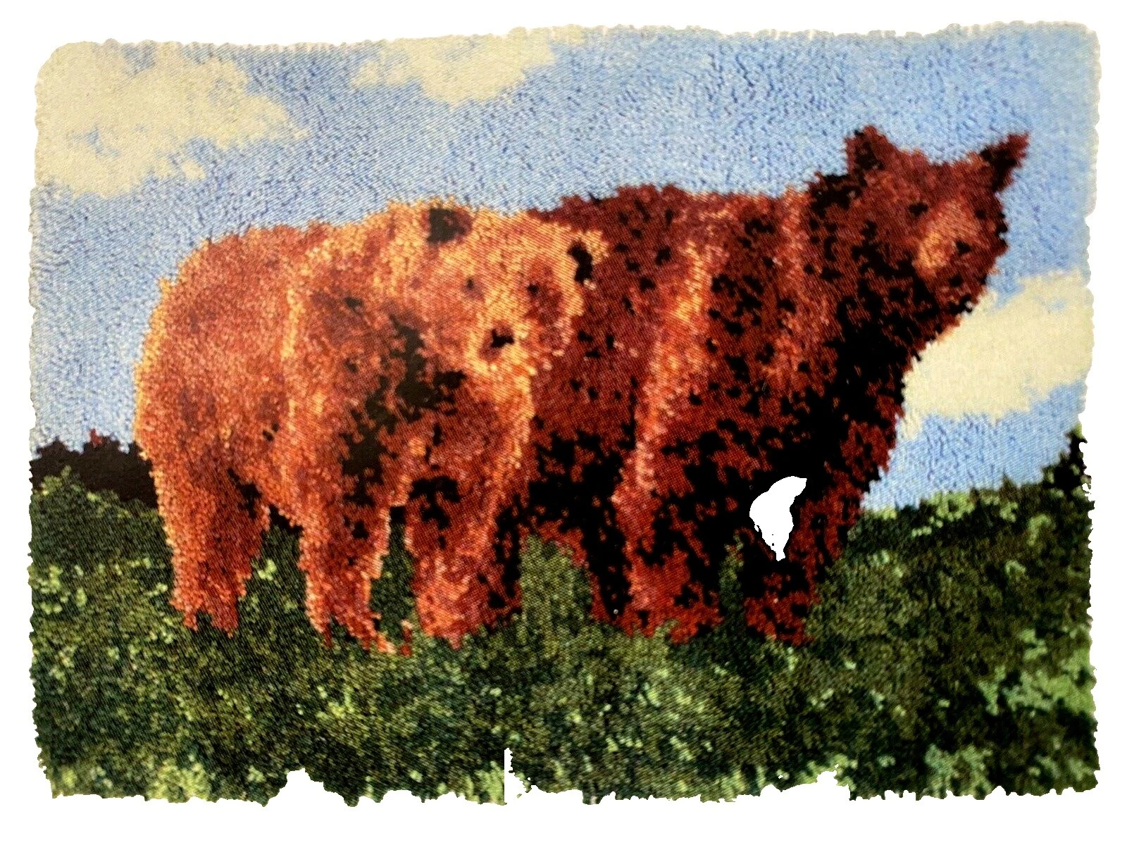 Alfombra Mary Maxim suministros y herramientas de fabricación