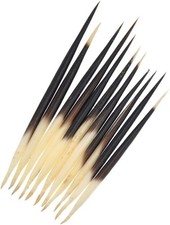 10Pcs Porcupine Quills Hair Stick Indian Crafts Accessories Fishing Buoy DIY ...