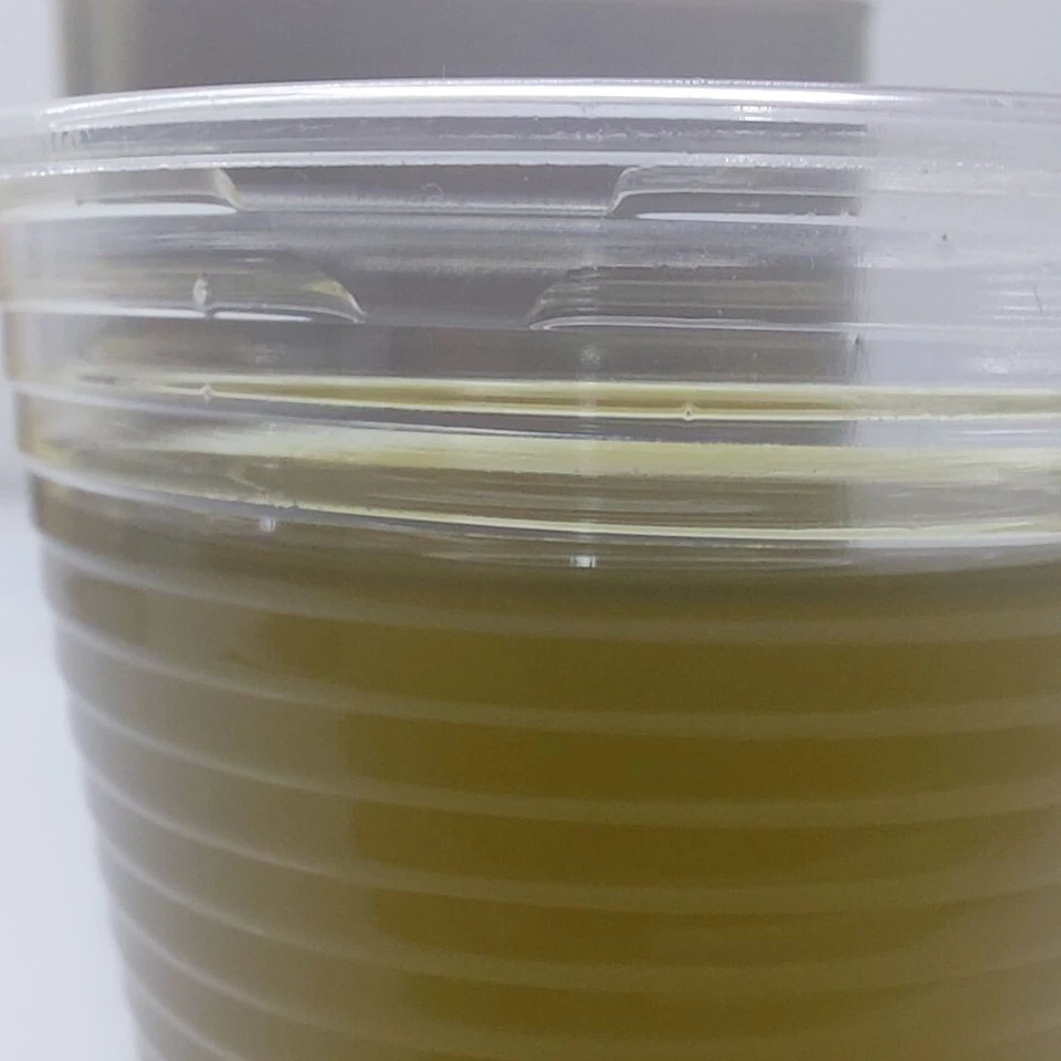 Palestinian Virgin Olive Oil 100% Pure & High Quality - 2L Tin Packaginزيت زيتون - Image 2 of 4