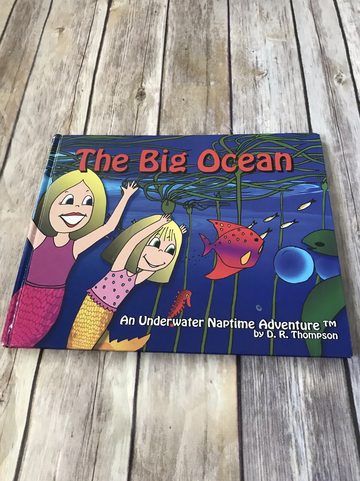The Big Ocean : An Underwater Naptime Adventure Vol. 2 by D. R. Thompson