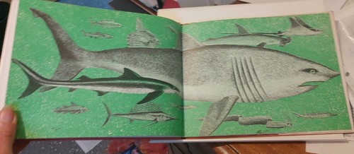 Mel Hunter Prehistoric Fishes & Man Hardback DJ Watts 1972 - Picture 10 of 15