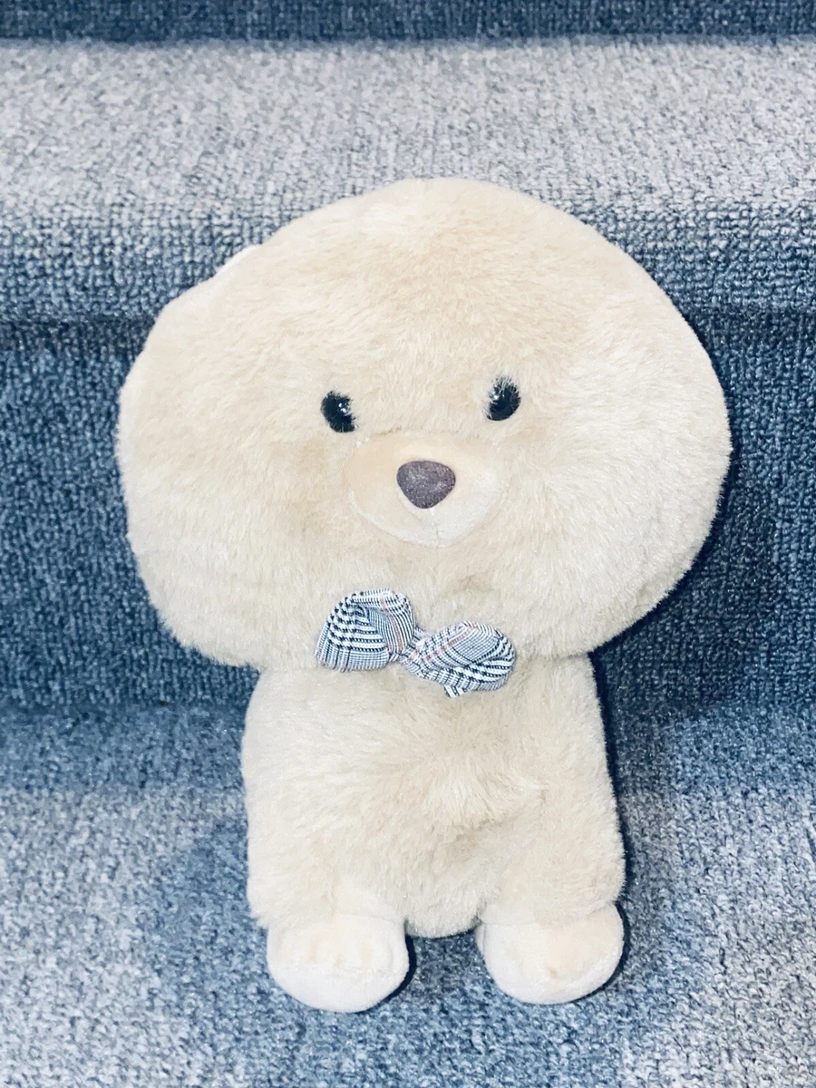 Japanese teddy sales bear dog