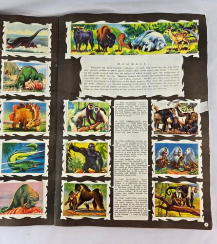 Wonders of the Animal Kingdom Sticker Book 1959 Complete with All Stickers - Picture 5 of 11