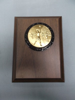 Volleyball plaque 4 1/2 x 6 male action metal insert trophy award