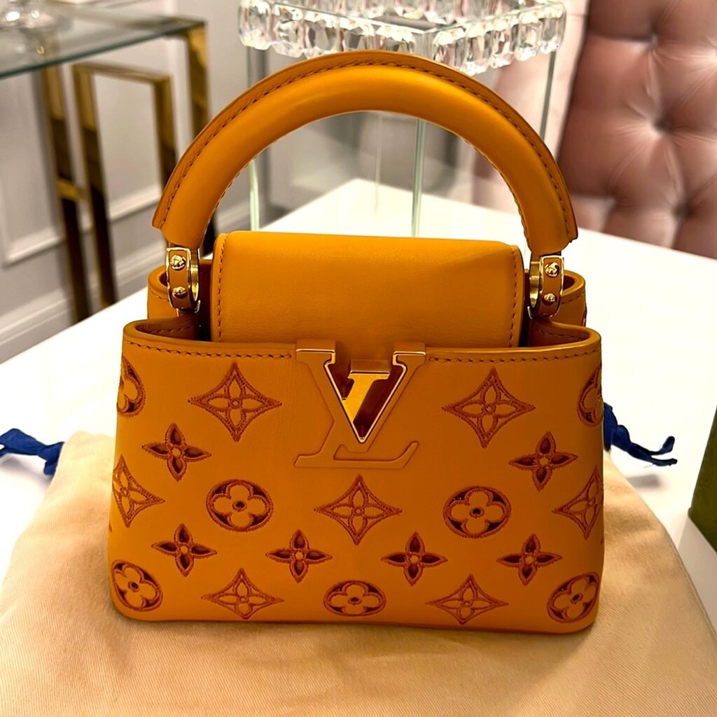 NEW **RARE** ** LIMITED EDITION**Authentic Louis Vuitton