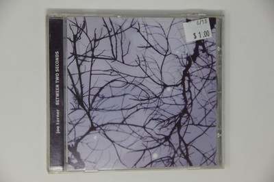 Joe Turner & the Seven Levels Between Two Seconds CD