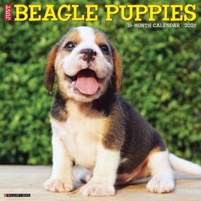 Beagle Puppies 2027 Wall - Image 2
