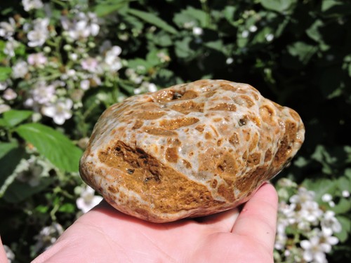 Natural Oregon Quartz Agate Pair w/ Crystal Inclusions & Fortifications (2 lbs+) - Picture 22 of 24