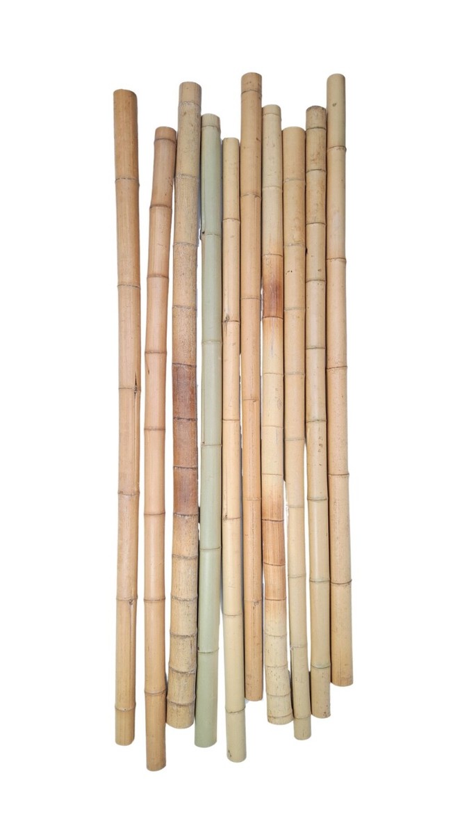 Bambusstangen Bambus Bambushalm Bambusrohr Bambuslatte 10 Stk.150 cm  3-4  cm