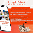 Foto 7 di 12