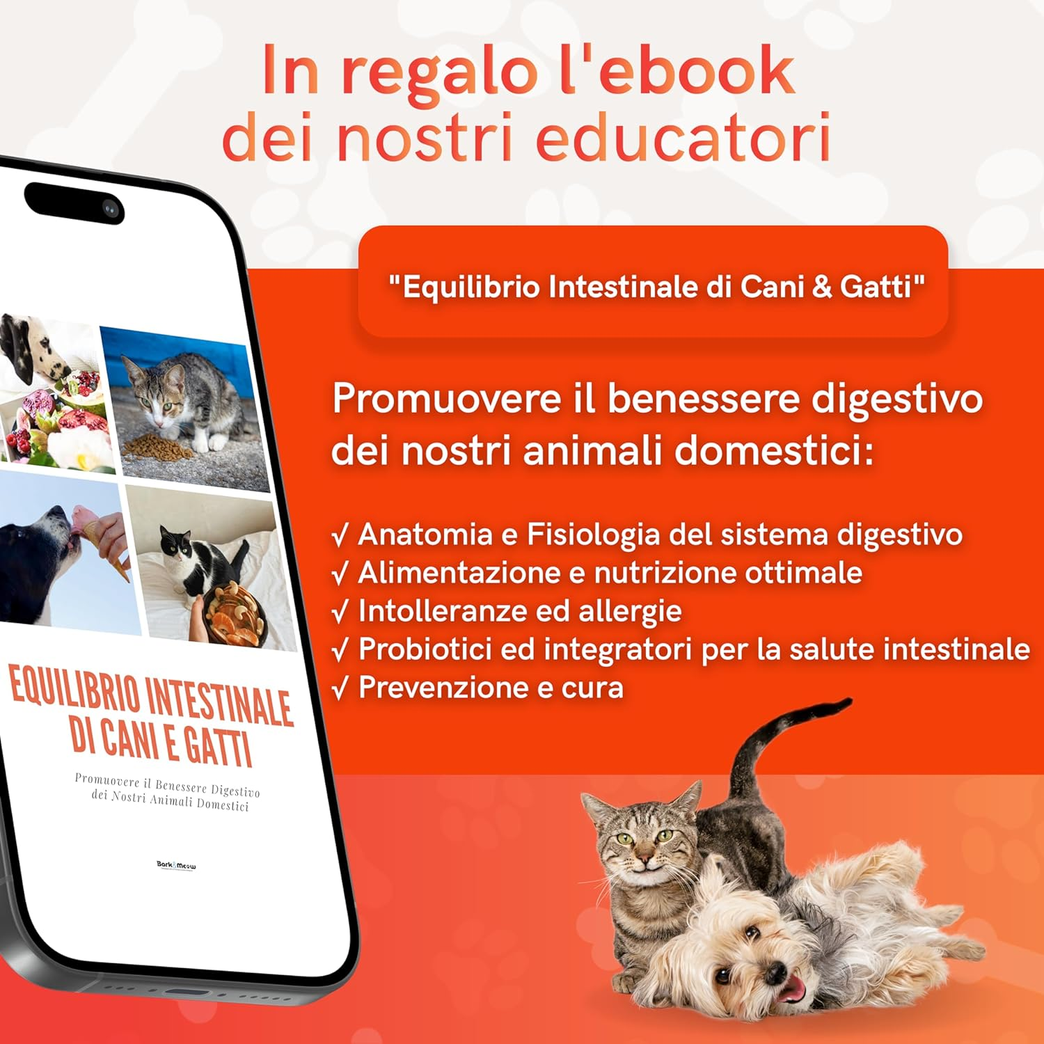 Foto 7 di 12