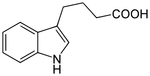 5g IndolButtersäure (IBA) 98% PGR Grow Wurzelhormon Phytohormon Cannabis - Bild 7 von 7