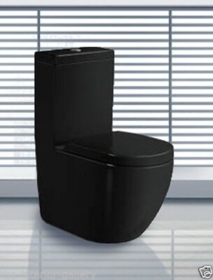 Black Modern One Piece Toilet with Dual Flush (Terzo) - Black | eBay