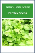 Italian Parsley Seeds: Flat Leaf, Heirloom, Non-GMO Garden Seeds