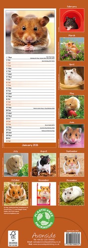 Hamster Slim 2026 Kalender | Slimline Geschenk 15% RABATT MEHRFACHBESTELLUNGEN - Bild 3 von 8