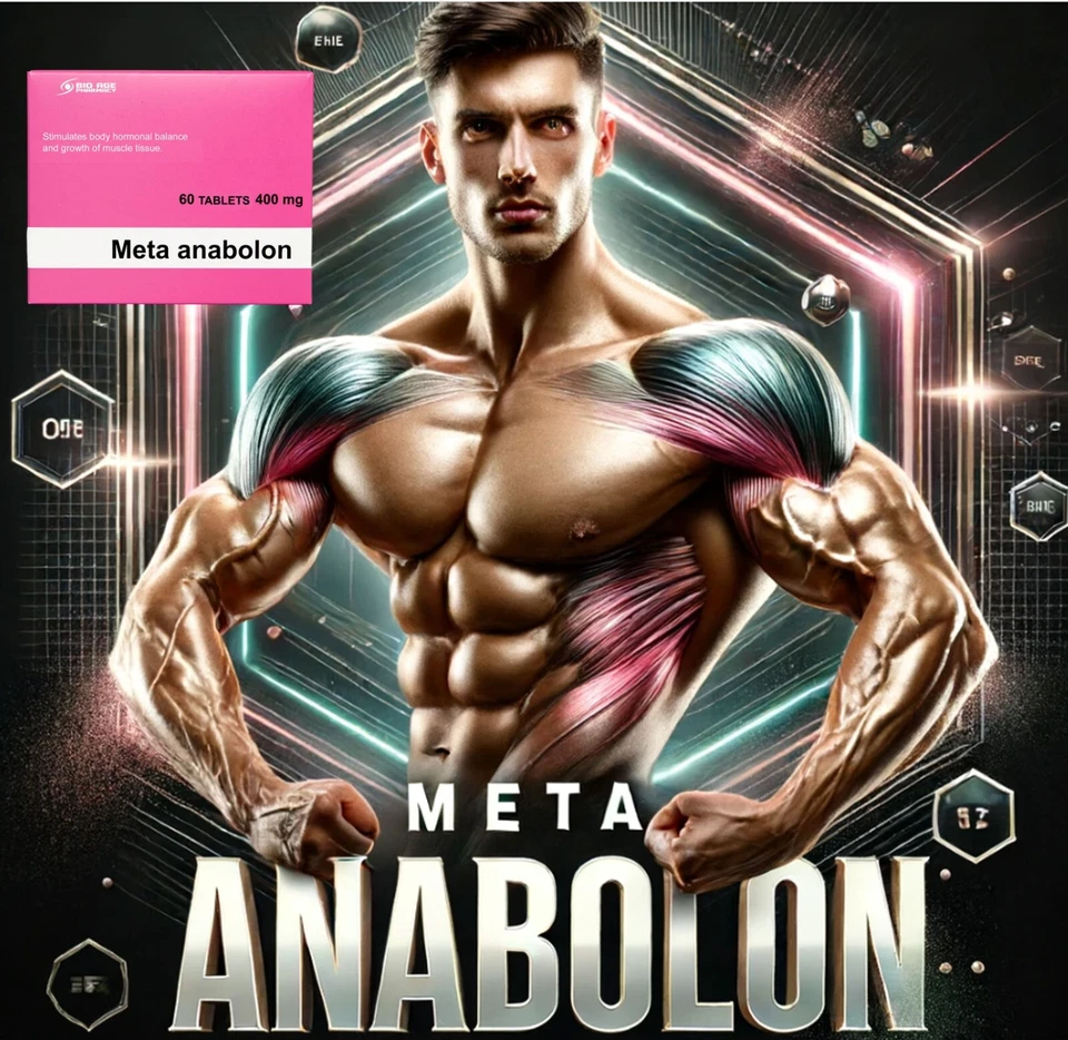 META ANABOLON Testosteron Tabletten Booster Testo steigern Libido Muskelaufbau - Bild 3 von 4