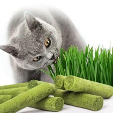 120g Cat Grass Teething Stick, Freeze Dried Cats Grass Stick Edible Cat Chew ...