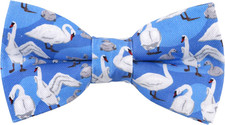 Cute Pattern Pre-Tied Bow Tie Adjustable Bowties for Adult  Children