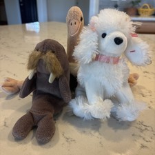 Ty Beanie Babies . Ostrich Is Missing An Eye.