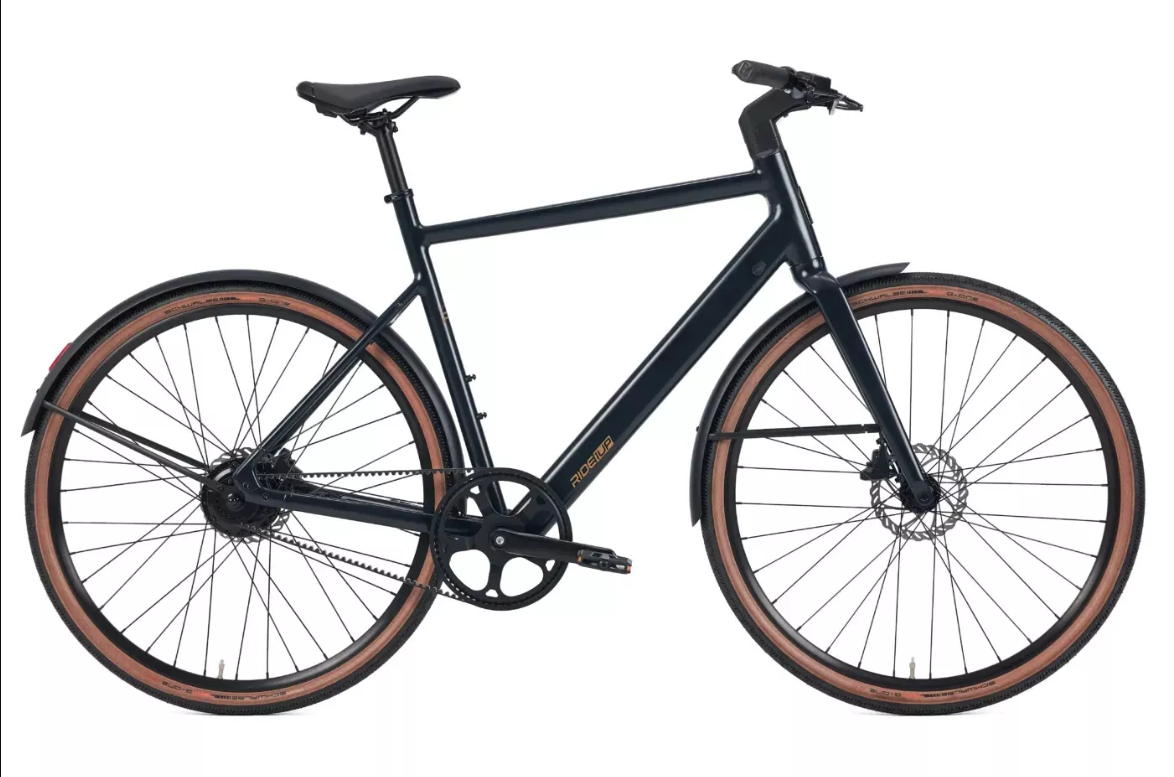 New Large Electric Bike for Adults - Powerful & Stylish E-Bike