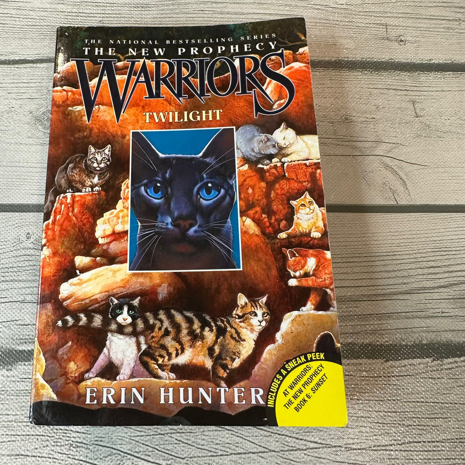 Lot 8 Cat Warriors Books Erin Hunter New Prophecy ++