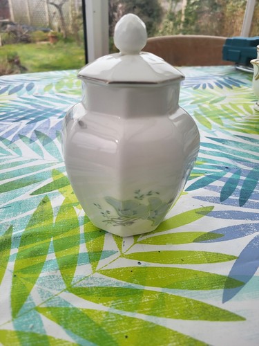 Tarro cubierto con tapa Royal Doulton Moonflower Bone China vintage - Imagen 4 de 9