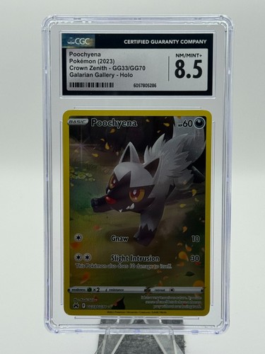 Poochyena graded CGC 8.5 for sale on eBay