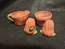 MCM Rosemeade Pottery North Dakota Demi Cream Sugar Salt Pepper Set Prarie Rose