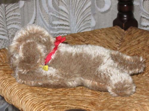 Steiff Floppy Raudi Dog Mohair 5637/17 KFS All IDS - Picture 3 of 8