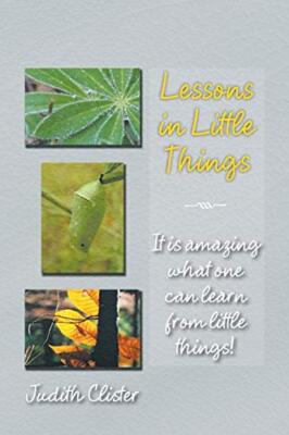 Lessons in Little Things: It Is Amazing What One Can Learn from Little Things! 