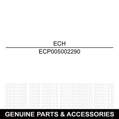 Echo P005002290 Rebuild Kit Rb-184 SRM SHC PPT PE PAS HCA 266 266U 266T 266S