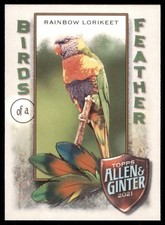 2021 Topps Allen & Ginter Birds of a Feather Rainbow Lorikeet #BOF-10
