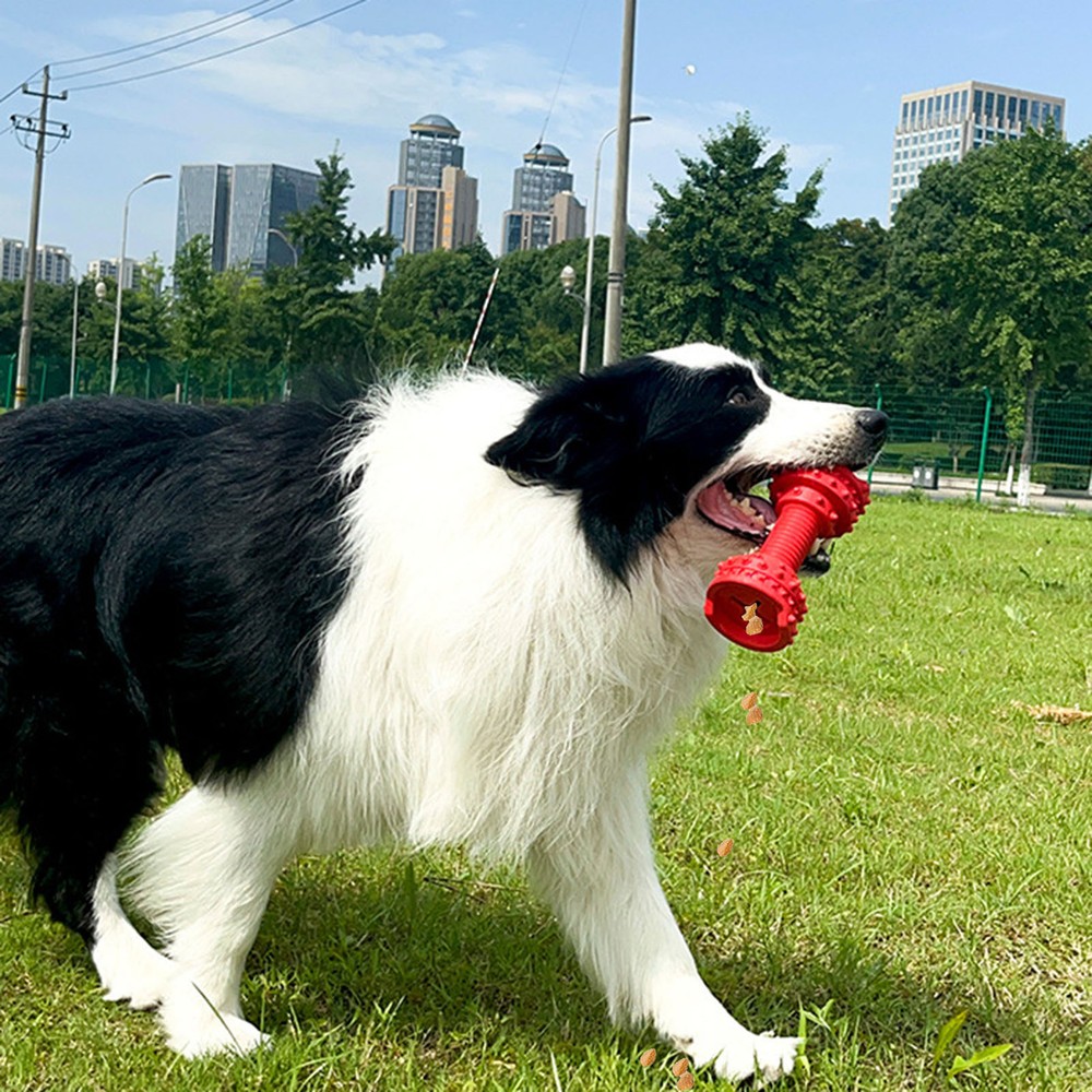 Dog Chew for Stimulation Chew Dogs to Prevent Shoe Chewing Tower with Rattle