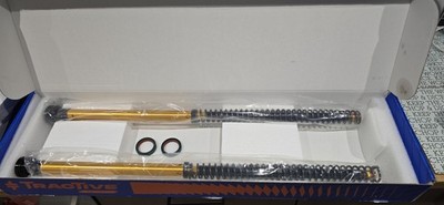 ANDREANI RALLY RACE FORK CARTRIDGE KIT FOR BMW F 900 GS ENDURO