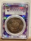 1884-O Morgan Dollar PCGS MS61 Trader Bea Rainbow Toned Silver Dollar