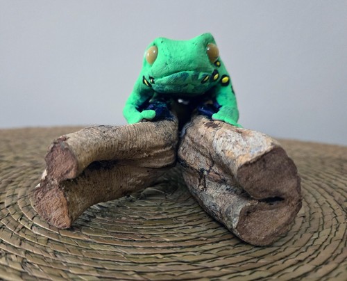 Large Kambo Frog Figurine Peru Shamanic Art Resin Vine Wood Ceremonial Totem - Picture 4 of 13