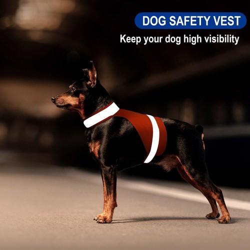 Blaze Orange Dog Vest High Visibility Outdoor Dog Safety VestDog Hunting Ves - Picture 2 of 6