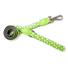 Max & Molly Dog Leash (Kiwi) - Small