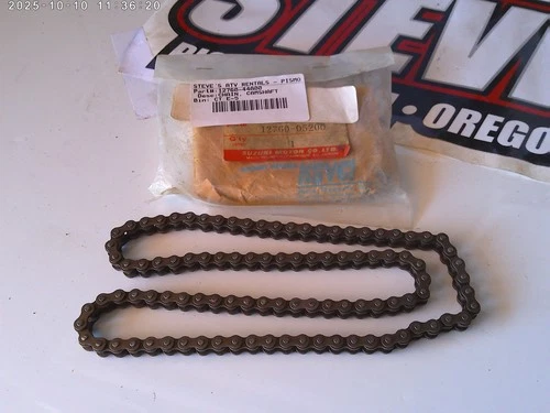 CHAIN, CAM SHAFT DRIVE *{98LE}*