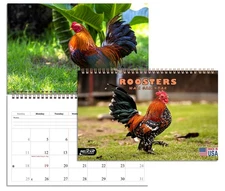 2026 Spiral-bound Wall Calendar (Roosters) - 12 Months Desktop / Wall Calend
