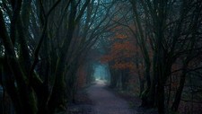 Landscape nature dark forest trees fall path walkway Custom Gaming Mat Desk