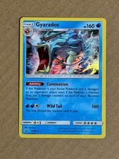 Gyarados 20/70 Holo Dragon Majesty Pokemon LP kawayoo on eBay