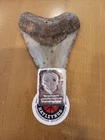 5 Oz .999 Silver Early Hayleybug Sugar Skull