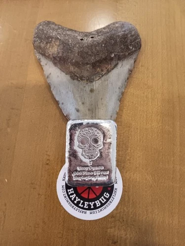 5 Oz .999 Silver Early Hayleybug Sugar Skull