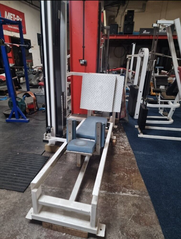 Physique USED Leg Press Commercial Gym Machine Solid Working Order! eBay
