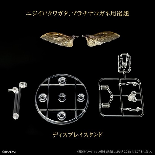 The Diversity of Life on Earth Chrysina Optima Rainbow Stag Beetle Figure Bandai - Picture 19 of 21