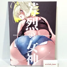 Holiday in Fangshan Goddess of Victory Nikke Art Book Hiizaki A4/20P Doujinshi