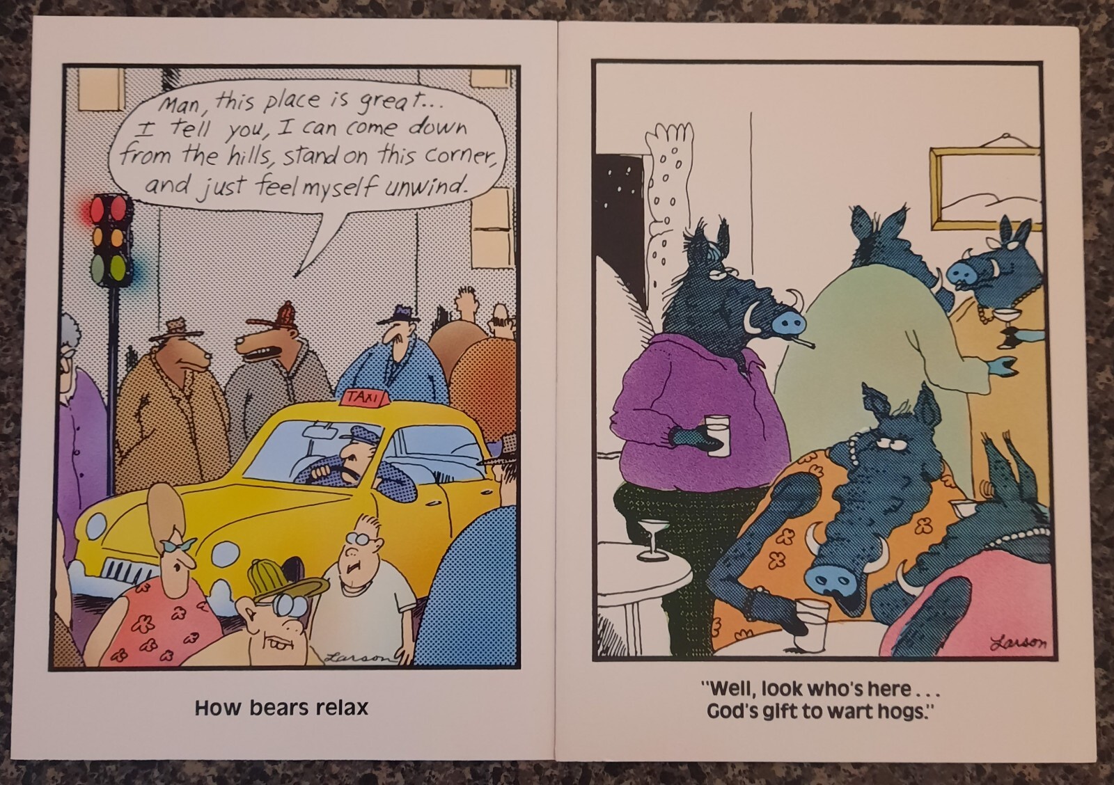 Lot of 2 "The Far Side" Greeting Cards by Gary Larson Vintage eBay