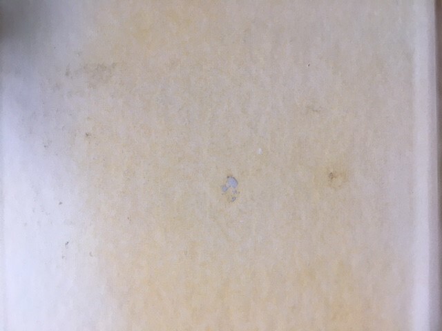 Bild 3 von 3